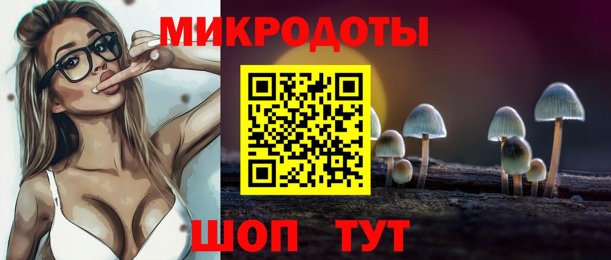 Галлюциногенные грибы Psilocybine cubensis  Псилоцибиновые грибы Psilocybine cubensis  Вход с VPN  Благовещенск 