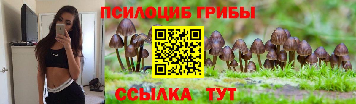 Галлюциногенные грибы GOLDEN TEACHER Благовещенск