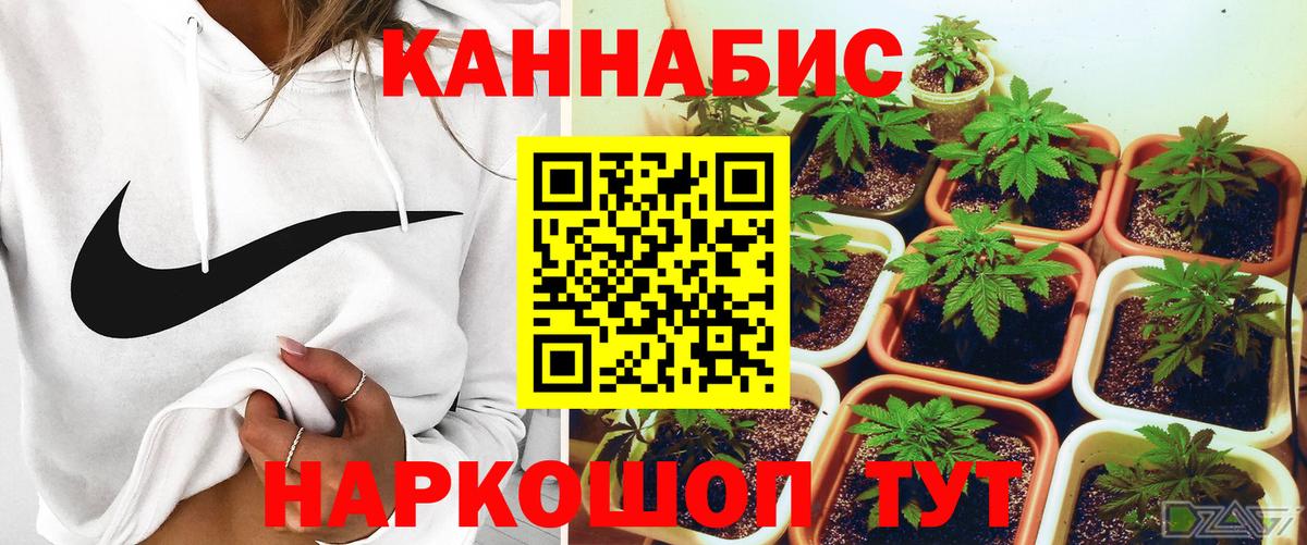 Благовещенск  Марихуана ГИДРОПОН  Шишки марихуана Ganja  Каннабис White Widow  Вход с VPN 
